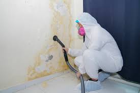 Why You Should Choose Our Mold Remediation Services in Port Oconnor, TX